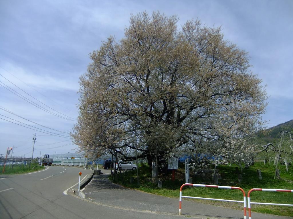 Shiga Park Hotel Yamanouchi  Exterior foto